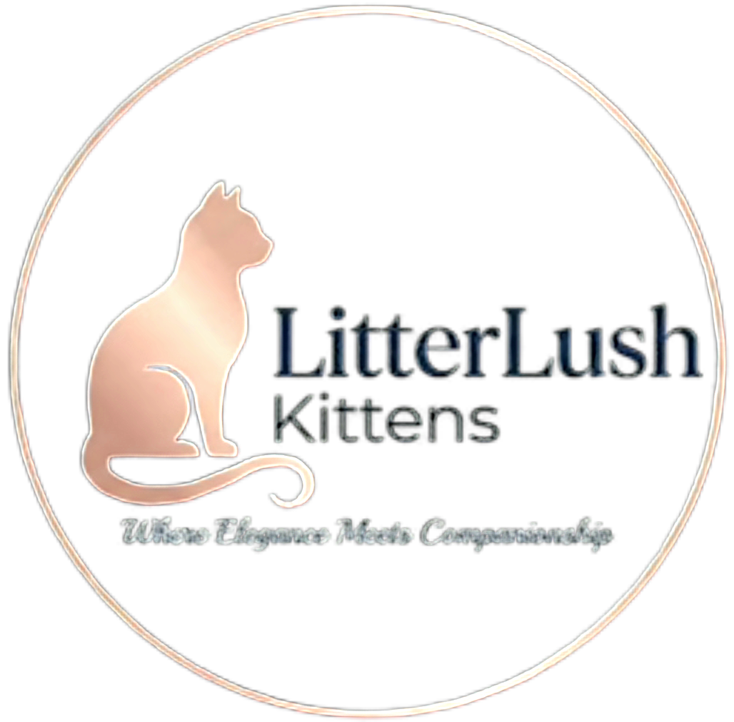 LitterLush Kittens